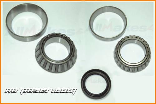 Kit cuscinetti coppia conica Wolf
